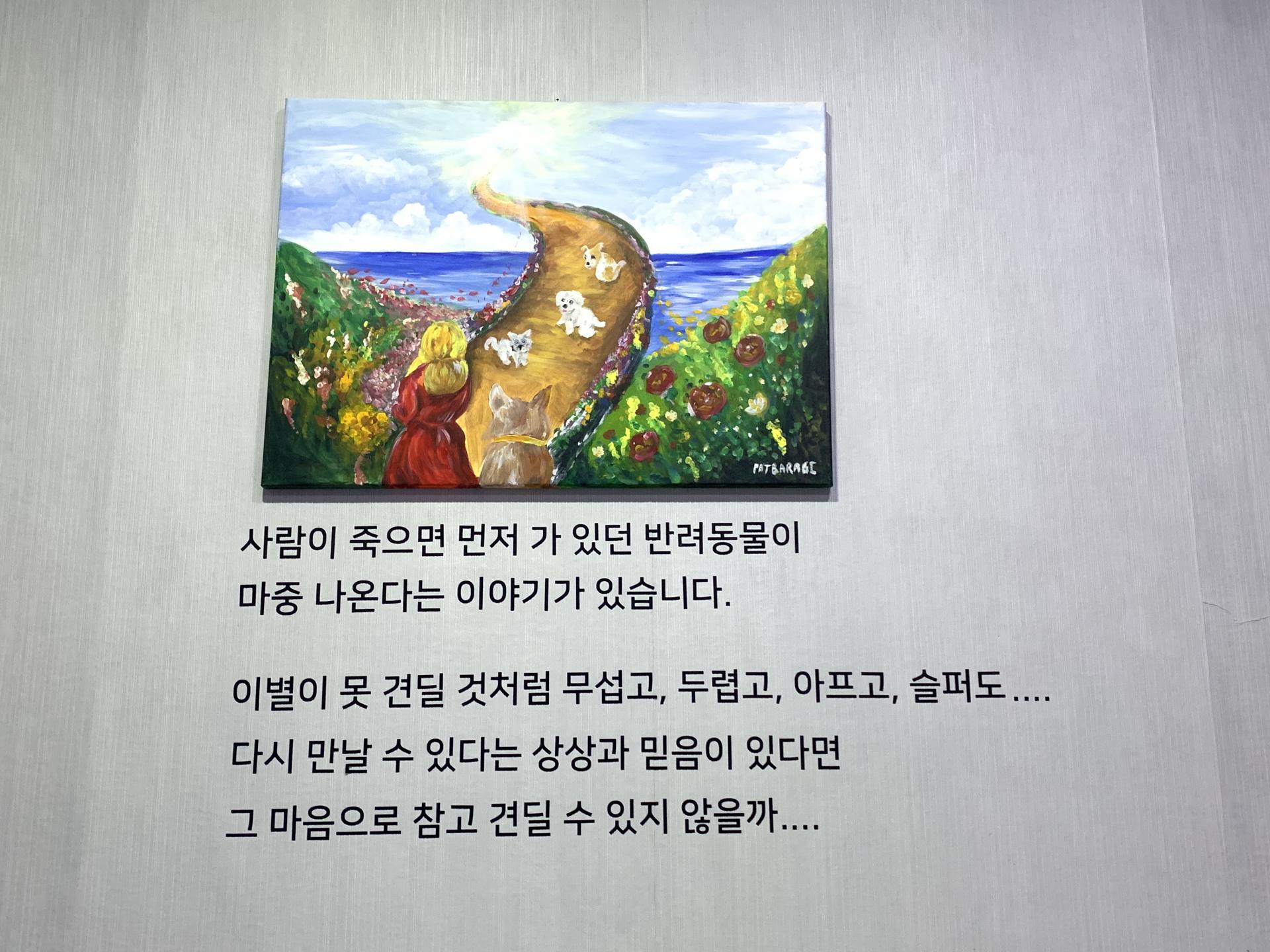 펫바라기