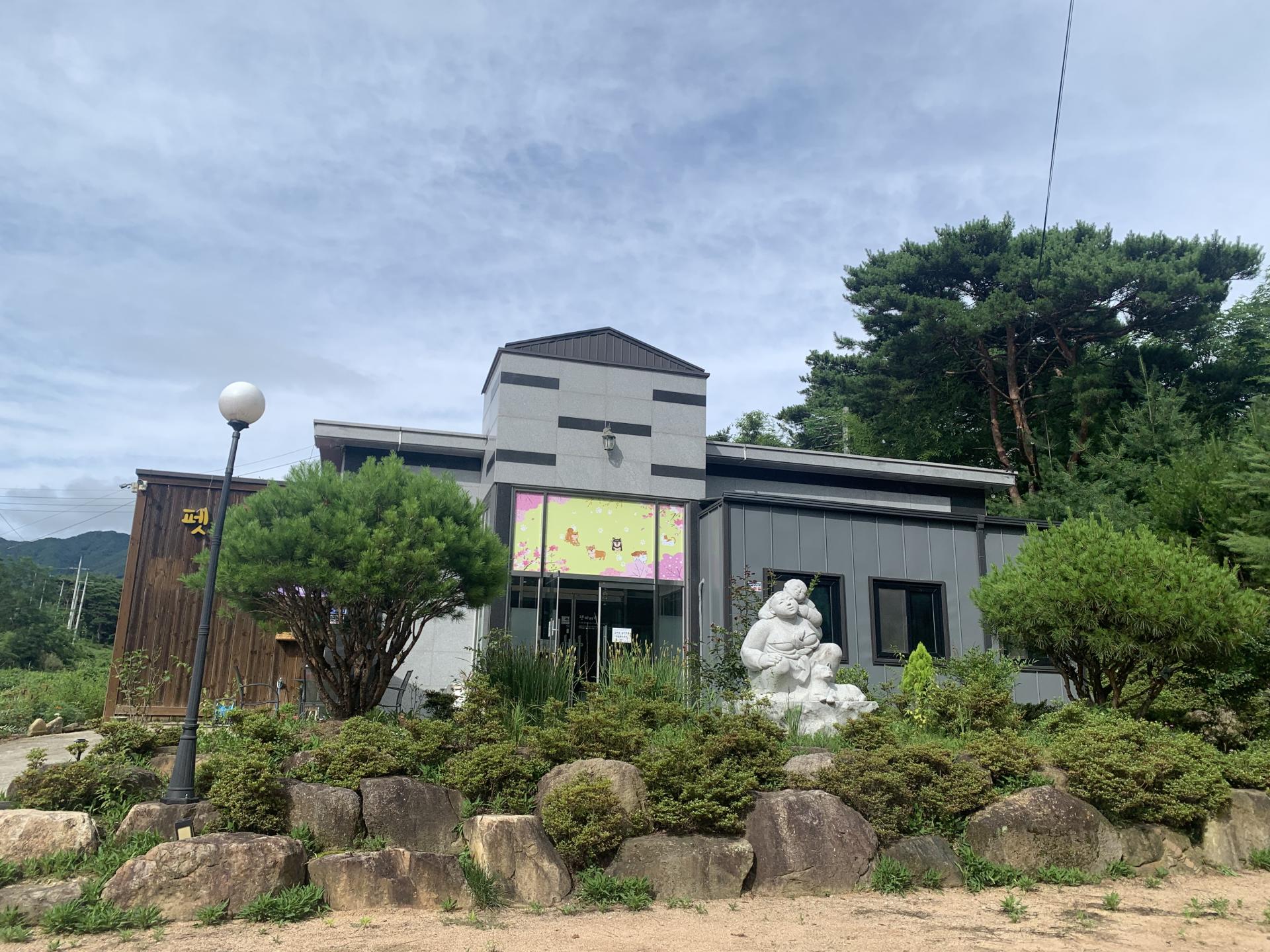 펫바라기