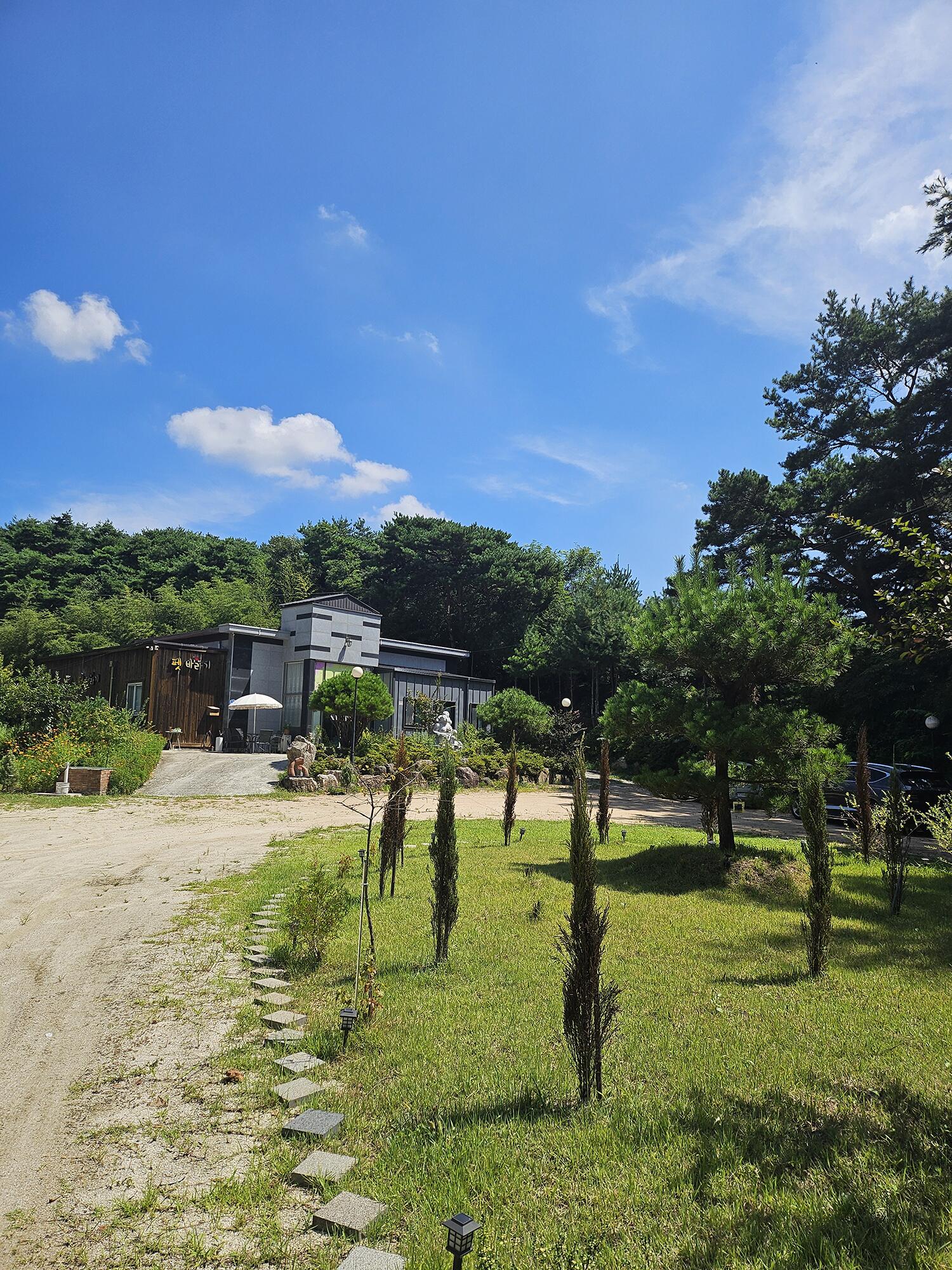 펫바라기