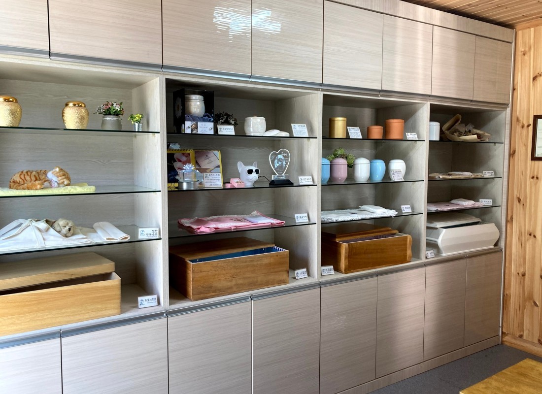 펫바라기