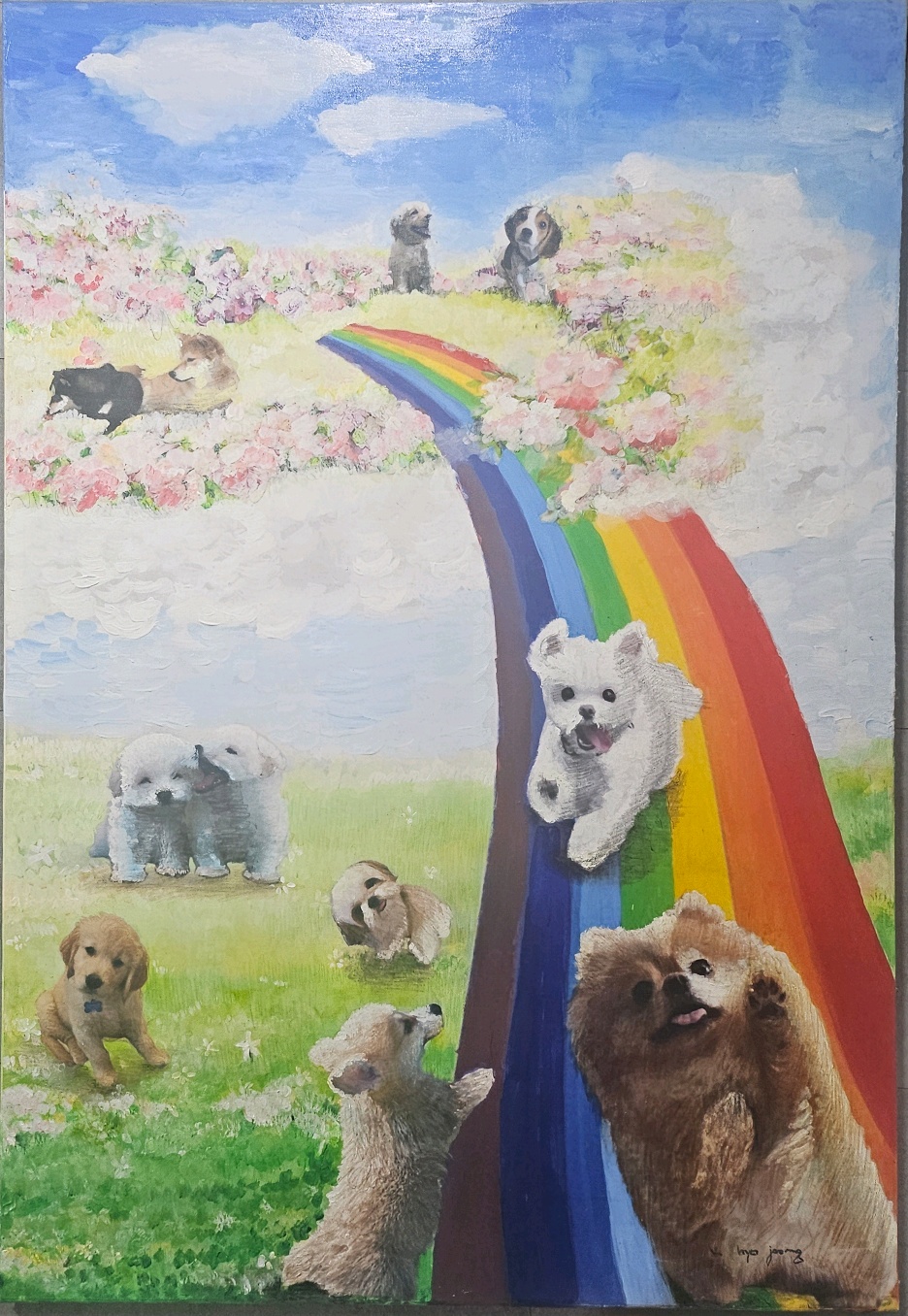 펫바라기